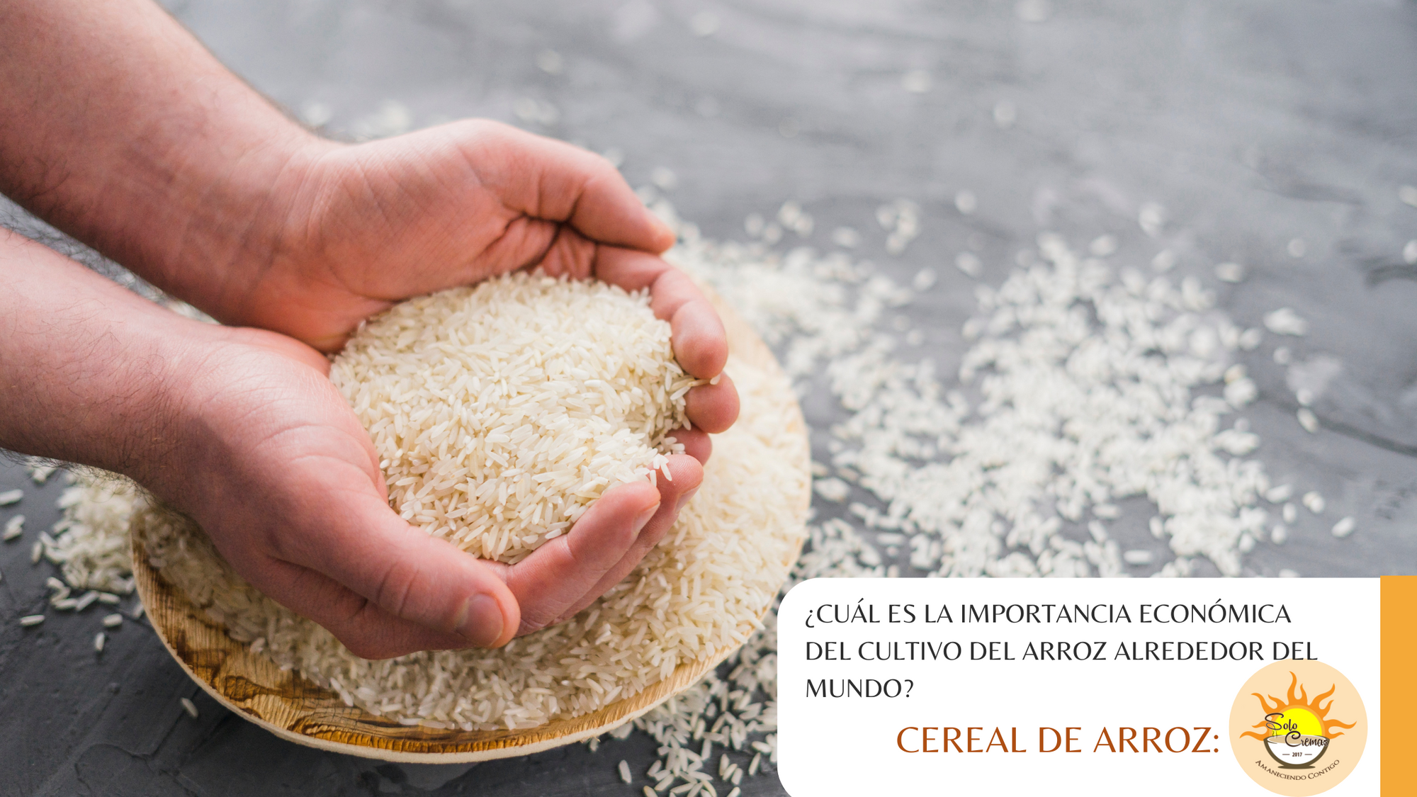 ¿Cuál es la importancia del cultivo del arroz alrededor del mundo?