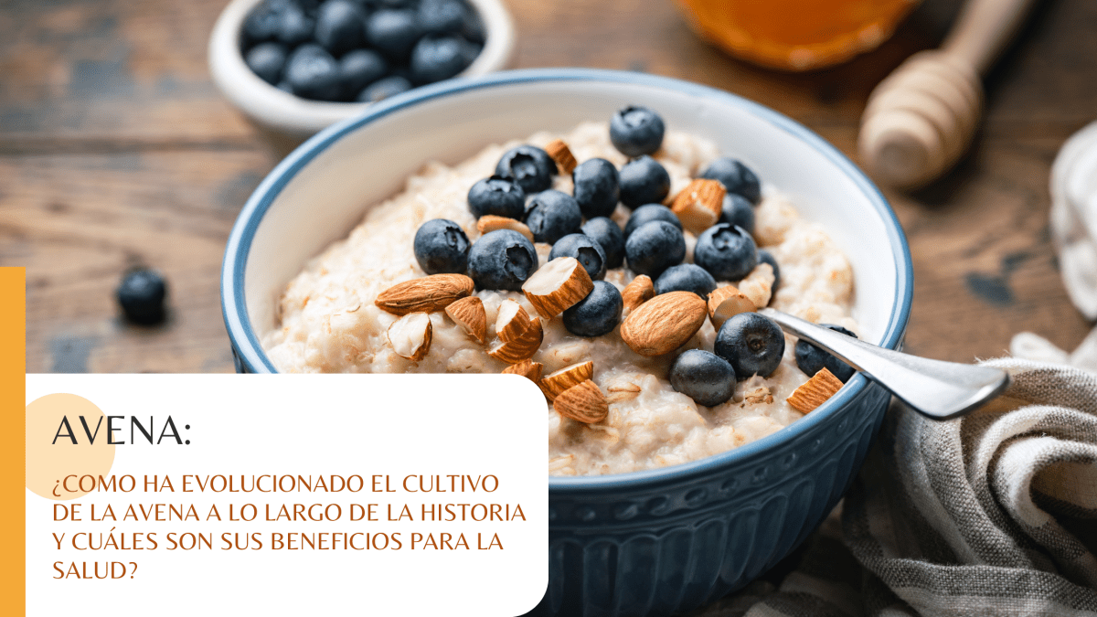 ¿Como ha evolucionado el cultivo de la avena a lo largo de la historia y cuáles son sus beneficios para la salud? - Solo Cremas