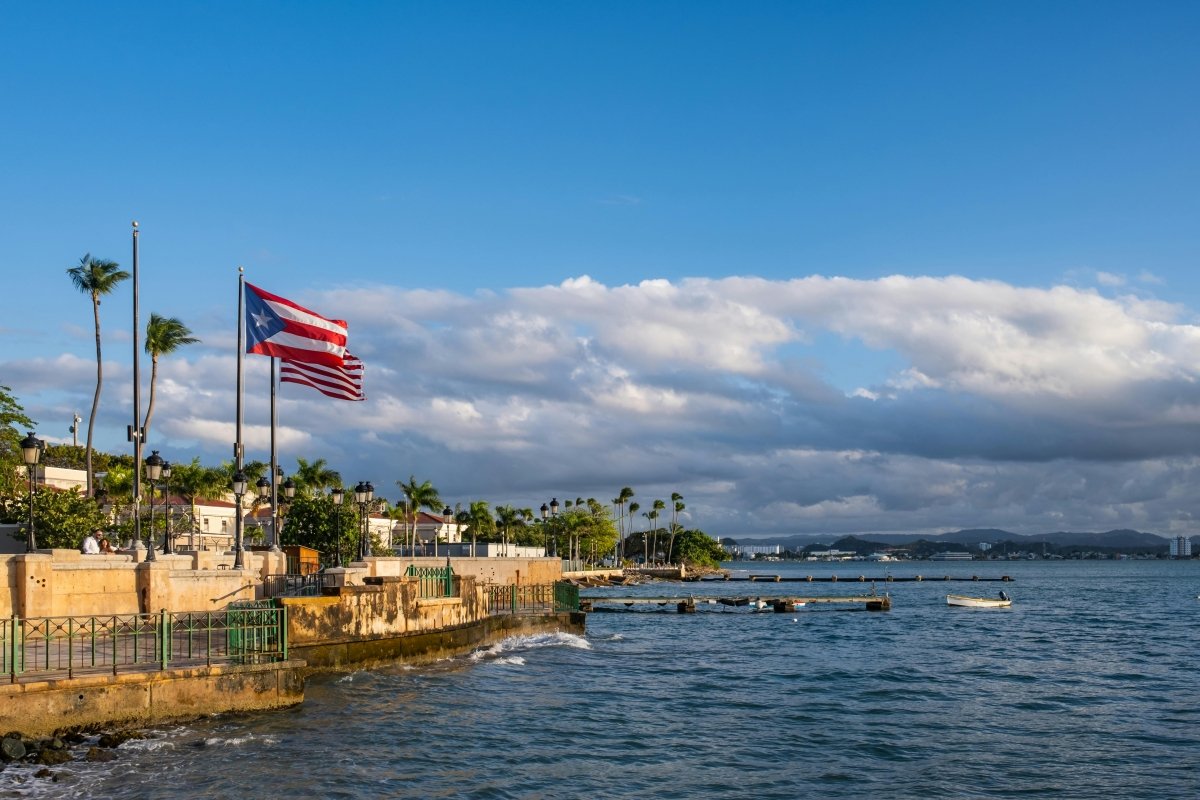 Cómo los Puertorriqueños en la Diáspora Mantienen Vivas Sus Tradiciones Culinarias - Solo Cremas