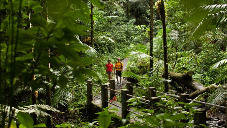 Las Mejores Rutas de Hiking en Puerto Rico con un plato de Cereal Instantáneo - Solo Cremas